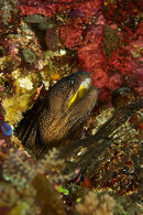 DSC_0233.jpg