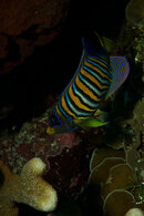 DSC_0679.jpg