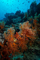 DSC_0749.jpg DSC_0749.jpg