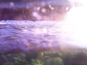 PIC_0229.jpg