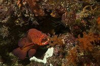 DSC_0429 - Version 2 (1).jpg