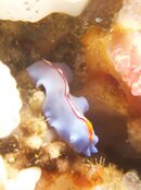 IMG_5899.jpg