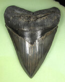 bc071.jpg