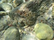 IMG_5086.jpg