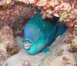IMG_5622b.jpg
