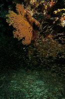 DSC_0807 - Version 2.jpg