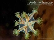 pnw_diver_2013-01_Cover.jpg