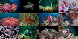 2013-calendar-thumbnails.jpg