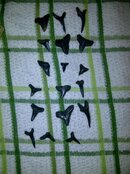 IMG-20130112-00107.jpg