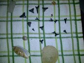 IMG-20130112-00108.jpg