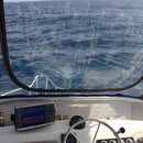 panama city dive charters January.jpg