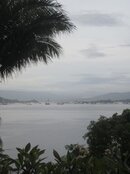 view from the top.jpg
