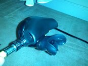 IMG_20130113_150351.jpg