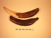 MUSEUM AND MY COLLECTION 144.jpg