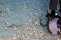 IMG_1198wa.jpg