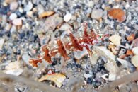 IMG_1253wa.jpg