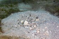 IMG_1055wa.jpg
