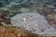 IMG_1057wa.jpg
