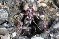 IMG_1063wa.jpg