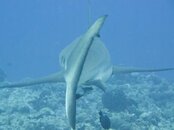 20121018-IMG_0332.jpg