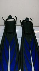 100_1173.jpg