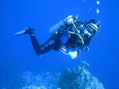 350px-Stijn-hovering-by-the-reef-at-30m.jpg