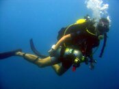 scuba-diving-03.jpg