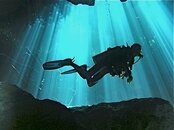 Cenote-Cave-Scuba-Diving-Riviera-Maya-Mexico.jpg