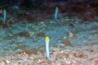 IMG_1436wa four.jpg