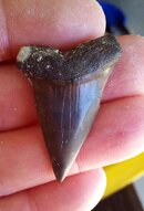 20130126_152408.jpg