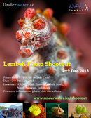 lembeh-shootout-2013.jpg