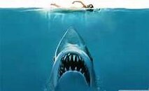 Jaws 2.jpg