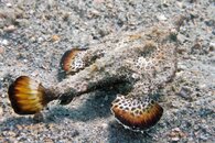 IMG_3210wa.jpg
