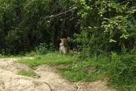 52, 1.1.13 Yala National Park.jpg