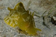 BHB-20120128-2511.jpg