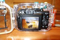 DSC00273.jpg DSC00273.jpg