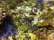 IMG_8524.jpg