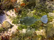 IMG_8536.jpg
