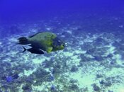IMG_8549.jpg