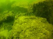 GOPR0313.jpg