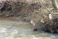 Plastic creek.jpg
