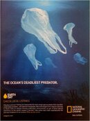 Plastic Ocean.jpg
