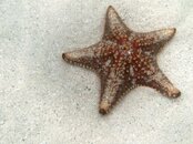 PICT0595.jpg