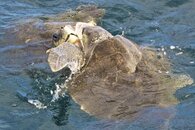 DSC_6411.jpg