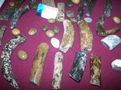 100_0903.jpg