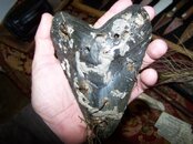 100_0920.jpg