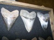 100_0929.jpg