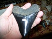 100_0935.jpg