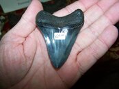 100_0937.jpg