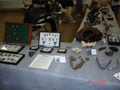 DSC00767.jpg